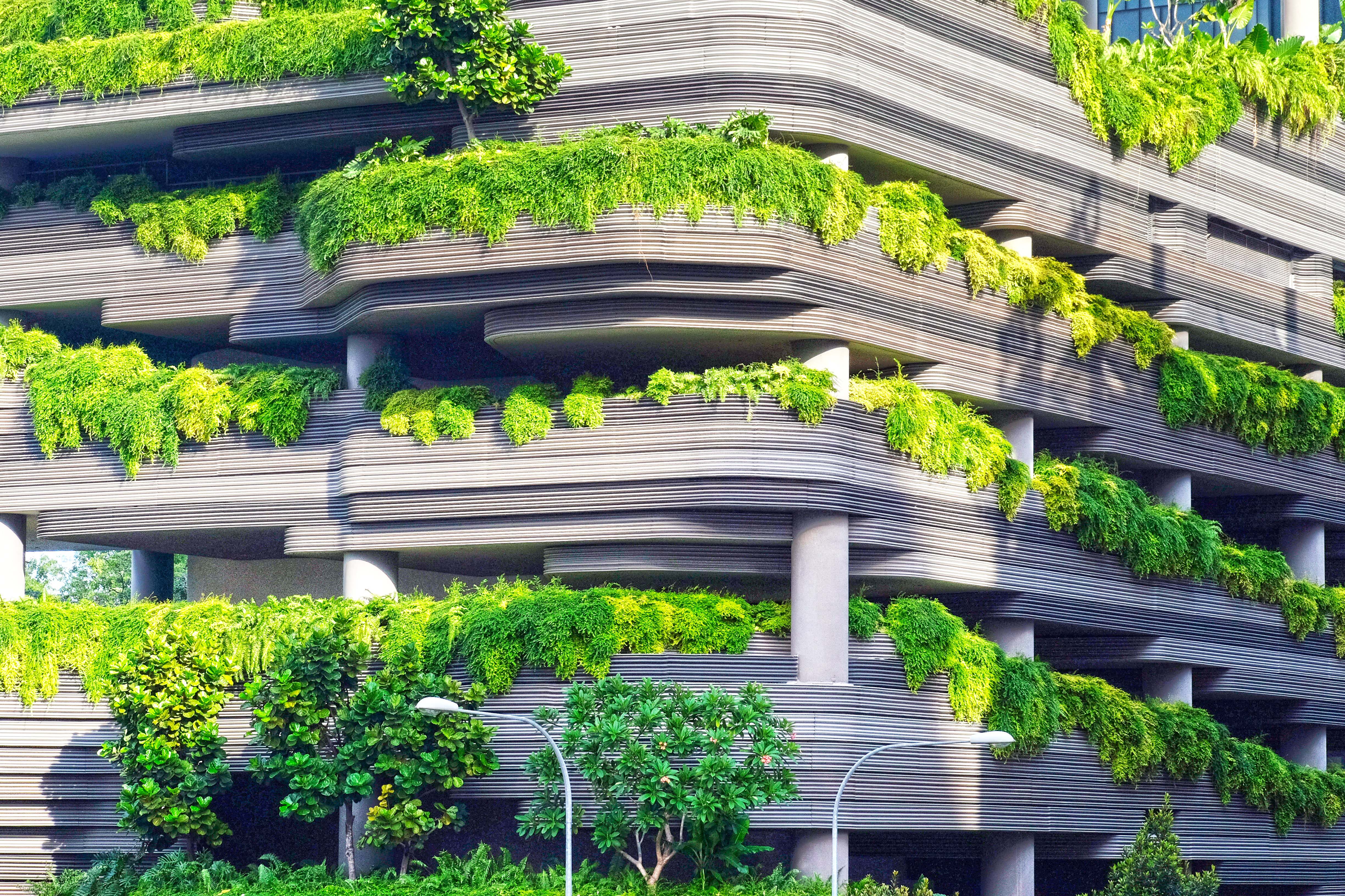 Вертикальный сток. Эко френдли архитектура. Гарденс Грин зеленый сад. Сингапур архитектура вертикального озеленения.